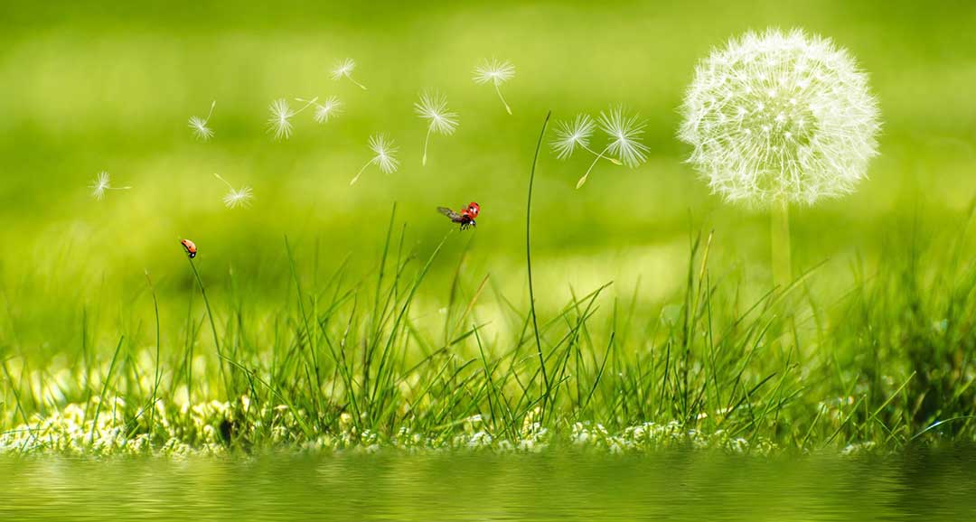positive-psychologie-glueckstraining-glueckscoach-muenchen positive-psychologie-glueckstraining-glueckscoach-muenchen
